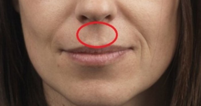 Ето защо някои хора имат бразда между горната устна и носа Празнината