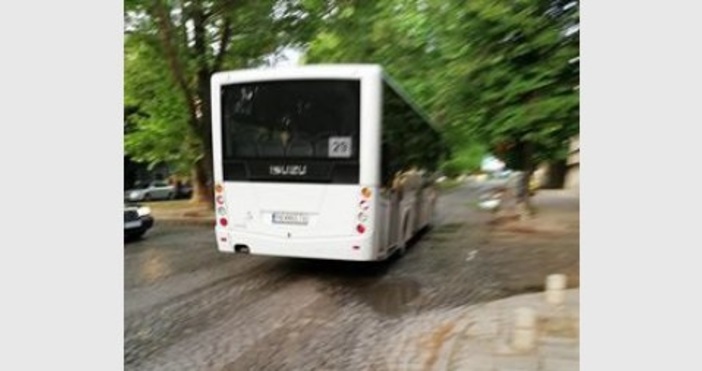 Пловдивчанката Росица Иванова е в шок след екшън в автобус