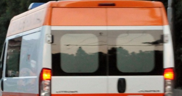 Снимка БулфотоКатастрофа между два микробуса затруднява движението на главния път