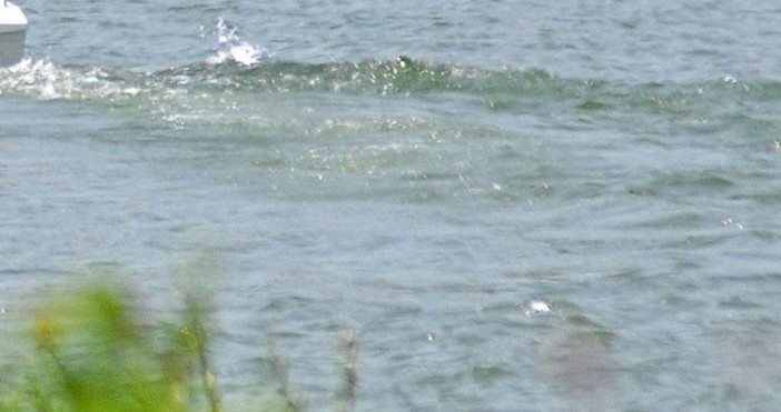 Момче на 10 години от Перник се е удавило във