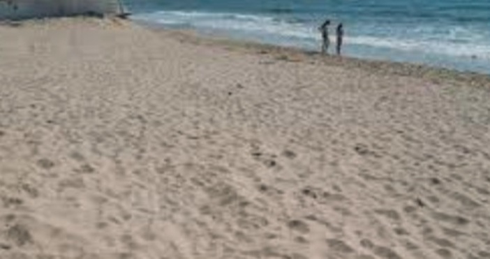 Снимка БулфотоЧистотата на водата на варненските плажове се е влошила и