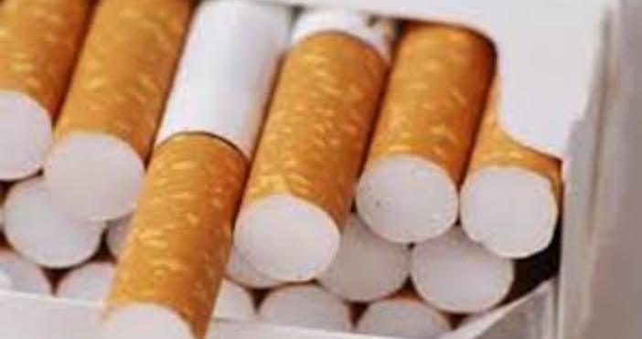 5 6 от пушачите у нас пушат контрабандни цагири показва социологическо