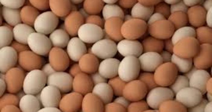 Наложена е възбрана върху произведените яйца в птицефермата в добричкото