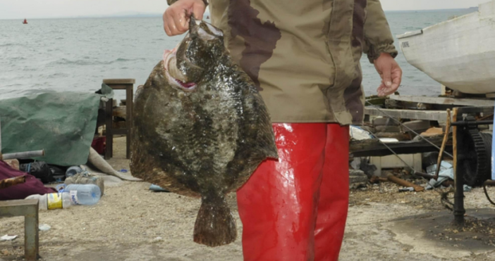 На този ден имен ден празнуват Мануил Емануил Емануила Емануела