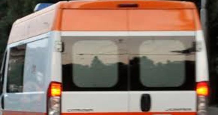 Снимка БулфотоВаляк на транспортна лента причини смъртта на работник в