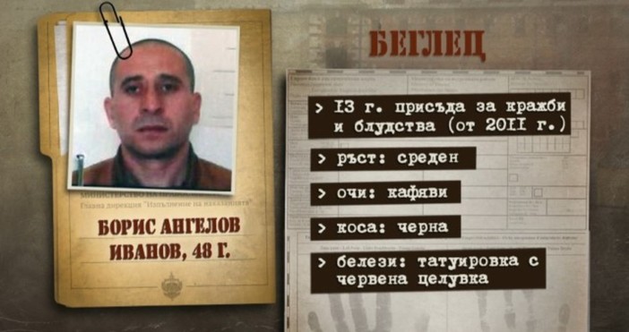 Избягалият затворник Борис Иванов, който бе хванат  днес в слънчогледова нива в района