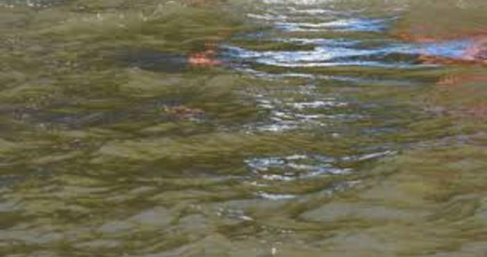 Тригодишно момченце син на козар се удави в пълноводната река