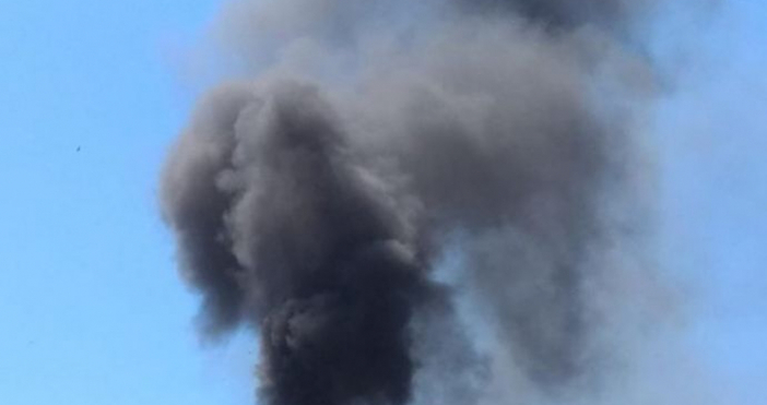 Снимка Бургасинфо Гъст стълб дим стресна туристите в курортен комплекс Елените