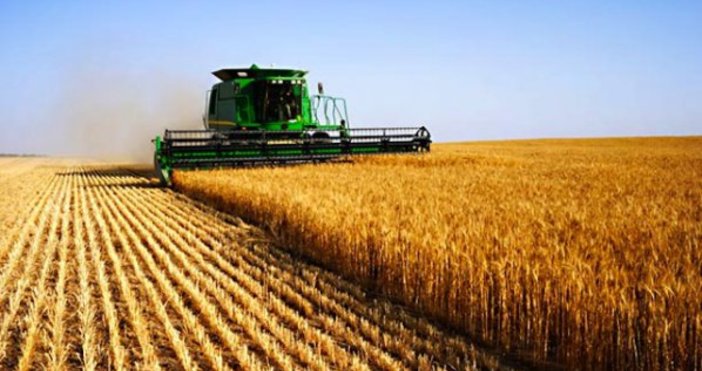 По-ниско качество на пшеницата и по-нисък добив се очаква тази
