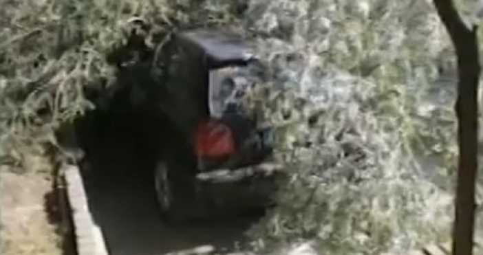 Кадър Нова твОгромно дърво падна върху автомобил и го смаза