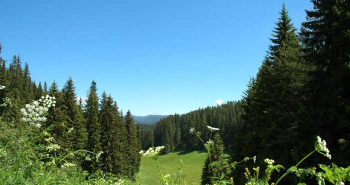 Много хора отиват на излети или преходи в планината неподготвени