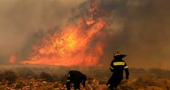 Броят на загиналите при унищожителните пожари край Атина достигна 88
