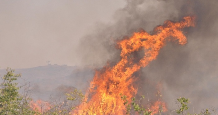 Снимка БулфотоПри августовските горещини през последните дни огнеборците в Русенско