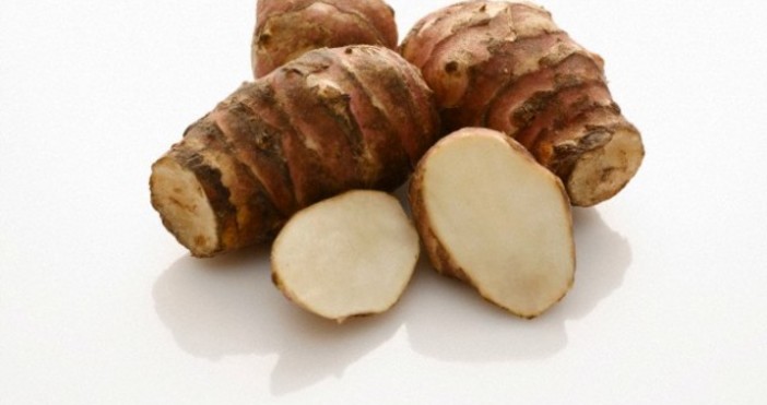 Гулията се среща под различни наименования – германски картоф земен артишок