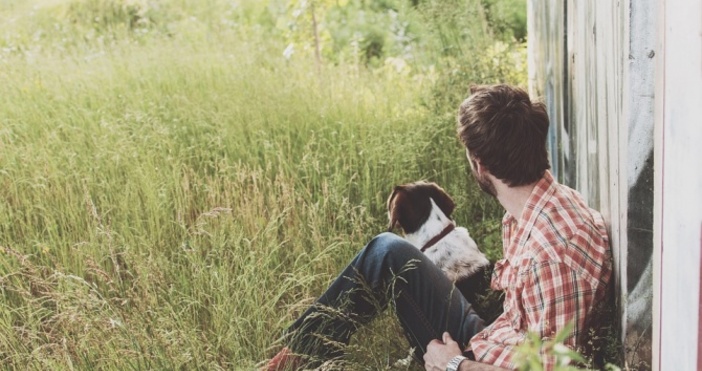 Наказателно постановление за липса на чип на домашно куче което е