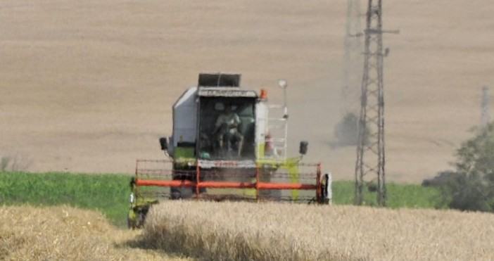 Снимка Булфото2000 регистрирани земеделски производители от Бургаска област са получили