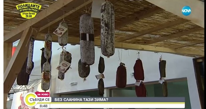 Как се приемат ограниченията от хората Африканската чума по прасетата продължава