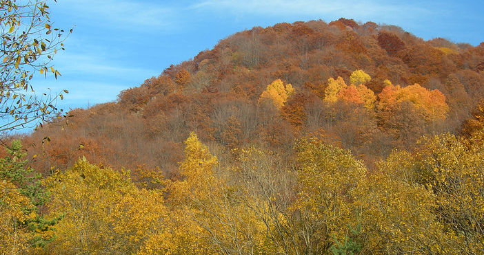 Астрономическата есен настъпва в 4 часа и 54 минути Това съобщиха от