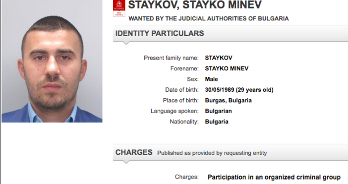 Снимката на сина на бизнесмена Миню Стайков Стайко вече