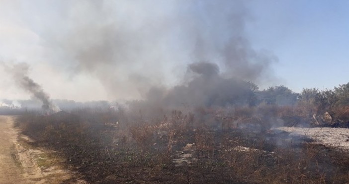 В южните покрайнини на Пловдив горят десетки декари земеделски площи. Пожарът