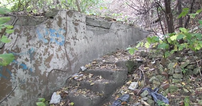 Снимка YouTubeВтори ден продлжава разследването на жестокото убийство на телевизионната водеща