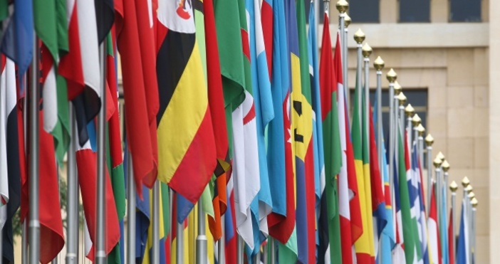 СЛЕДЕТЕ ВСЯКА МИНУТА В PETEL BG ПОДРОБНОСТИ ЗА УБИЙСТВОТО НА ВИКТОРИЯ