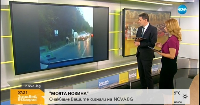 Поредният сигнал в рубриката Моята новина изуми водещите Виктор Николаев