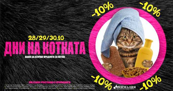  По случай 29.10.2018 г - Деня на котката,  Зомагазини Анималия правят 10%