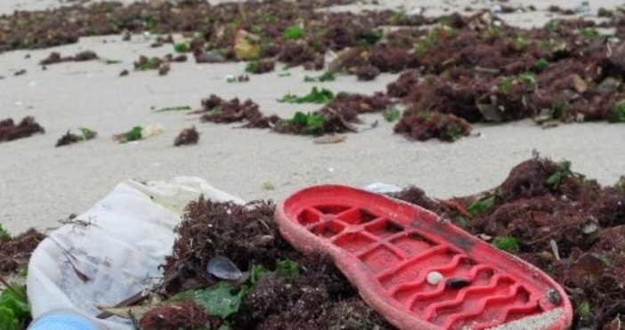 Варна Ще се проведе традиционно почистване на плажа Ветеран във