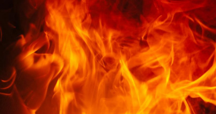 Два пожара горят в Родопите на територията на благоевградска област