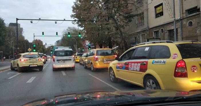 Таксиметровите шофьори във Варна излязоха днес на протест Шествието им