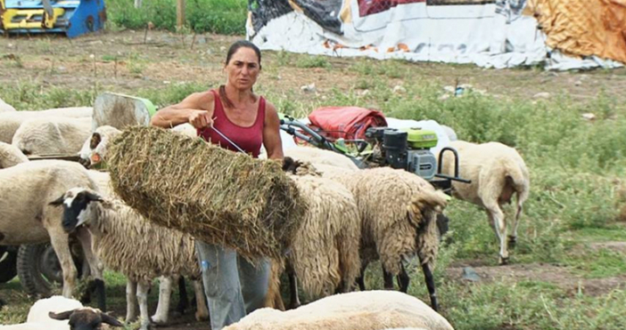 Да си съвестен гражданин в България не носи никакви ползи