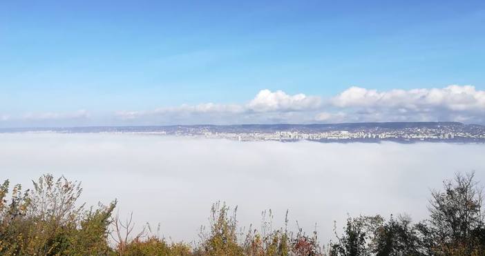 Варна осъмна затисната от гъста мъгла Човек на Петел изпрати спиращи