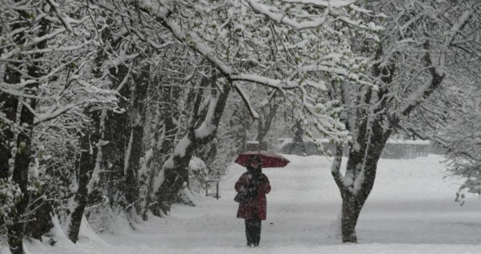 Снимка БулфотоПървият сняг заваля в Силистренско По данни от Областното пътно