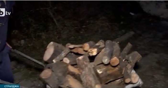 БтвКонфискувана при незаконна сеч дървесина в помощ на хора в