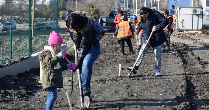 Залесителна акция във варненския район Младост във Варна се проведе