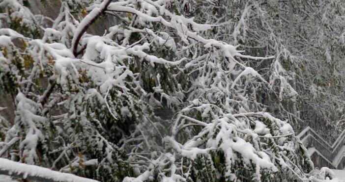 Снимка БулфотоМежду 10 и 15 см сняг натрупа по проходите