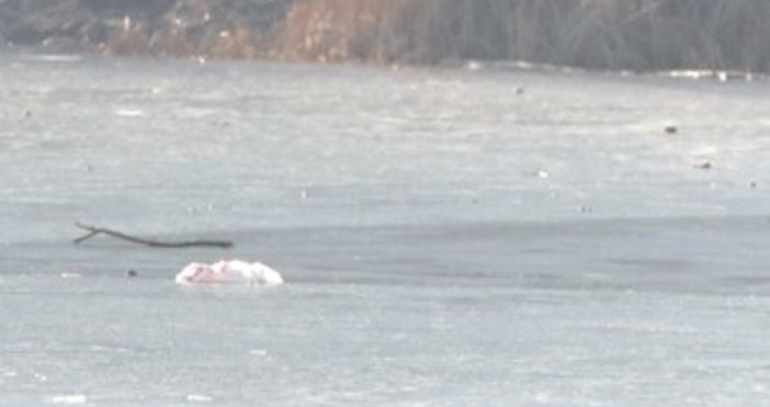 Снимка Булфото архивЛед е сковал езерото в Сребърна  съобщават от регионалната