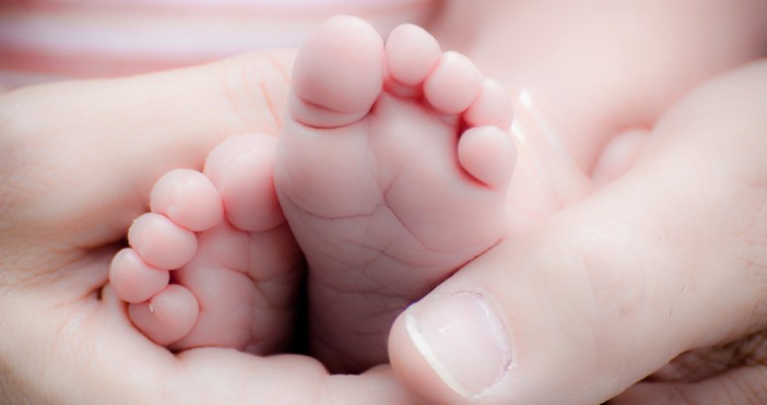 Снимка pexels comСестри близначки са родили своите деца днес в Акушеро гинекологичния комплекс