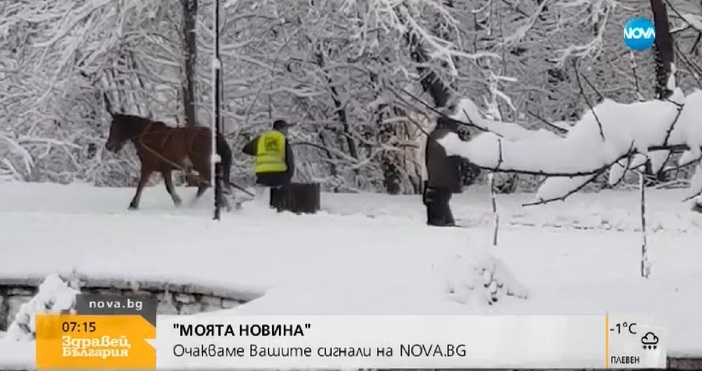 Поредното интересно видео излъчиха в сутрешния блок на Нова телевизия То