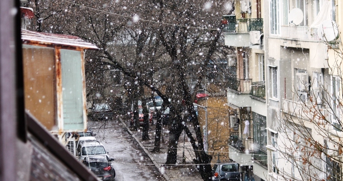 снимка: ПетелОчакванията за сняг преди Коледа във Варна се сбъднаха,