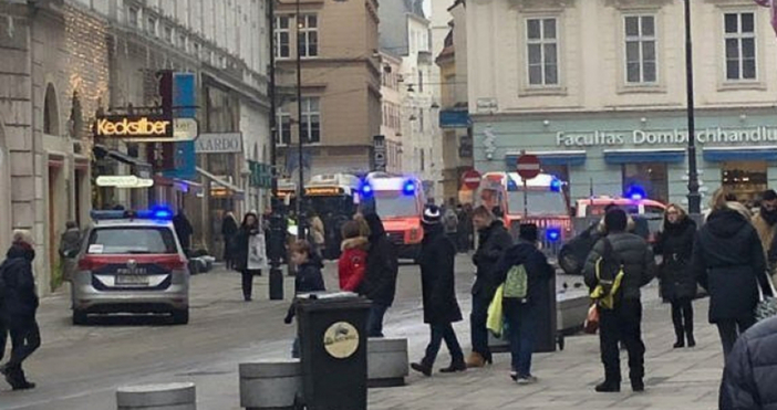 Полицията пипна предполагаемия стрелец от Виена след мащабно преследване Един