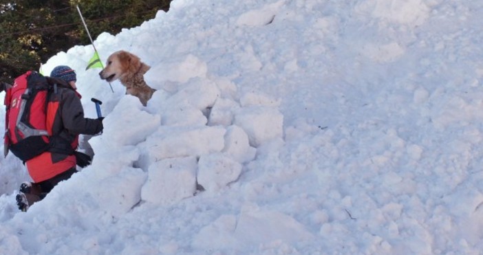 Опасност от лавини дебне в планините Силните ветрове и новият