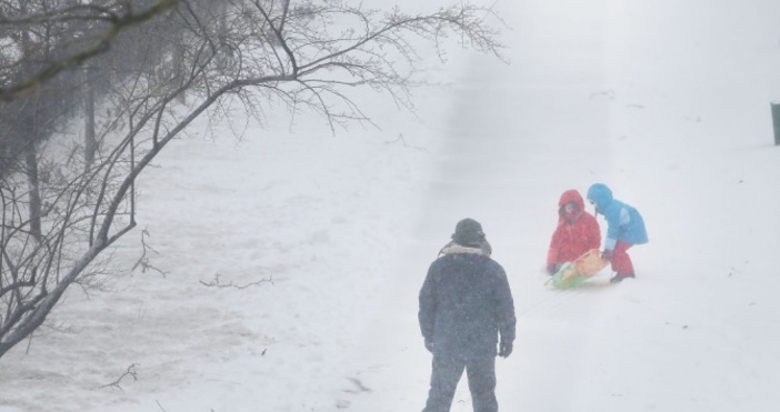 Над 600 деца лишени от родителска грижа ще посрещнат Коледа