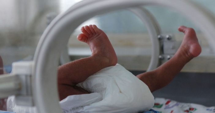 Четири бебета проплакаха на Бъдни вечер в болница Шейново Въпреки деня в