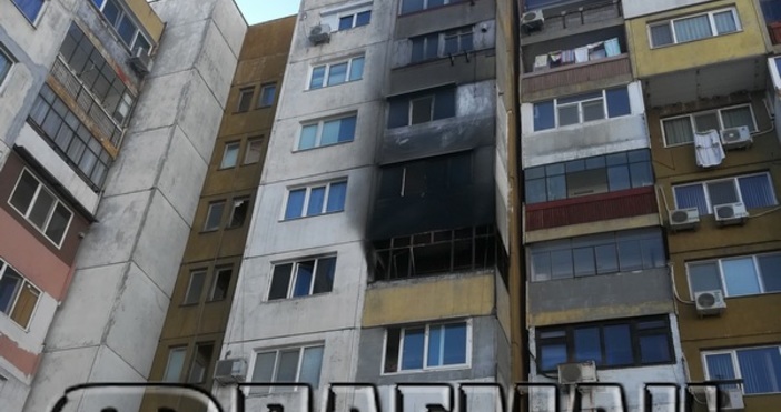 Снимка флагман бгМакар че са почивни дни Община Бургас реагира светкавично