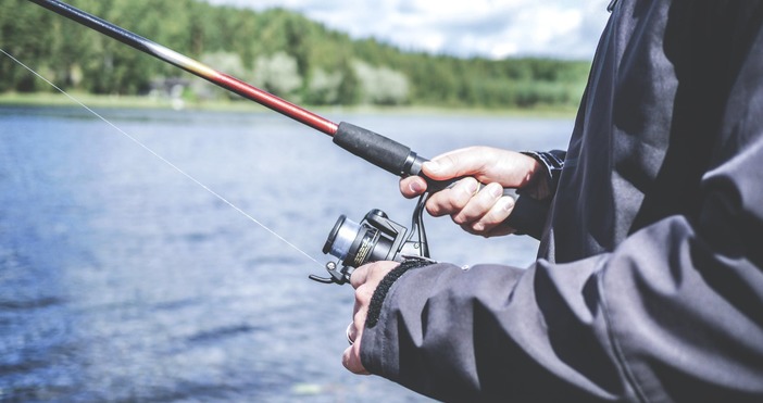 Един от рекордно големите шарани извадиха предновогодишно местни въдичари Рибата е