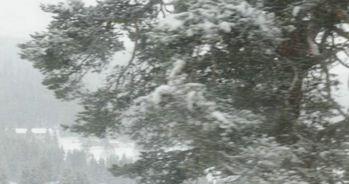 Снимка: БулфотоВ следващите два дни ски и сноуборд не трябва