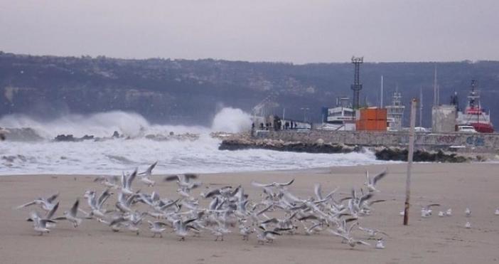 Снимка ДарикЖълт код заради силен вятър е обявен за Варненска