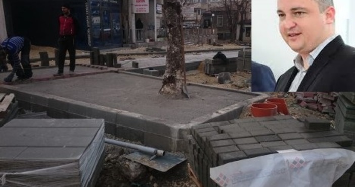 Снимки Фейсук Борис АнгеловВарненец сигнализира за безпрецедентно бетониране на дървета